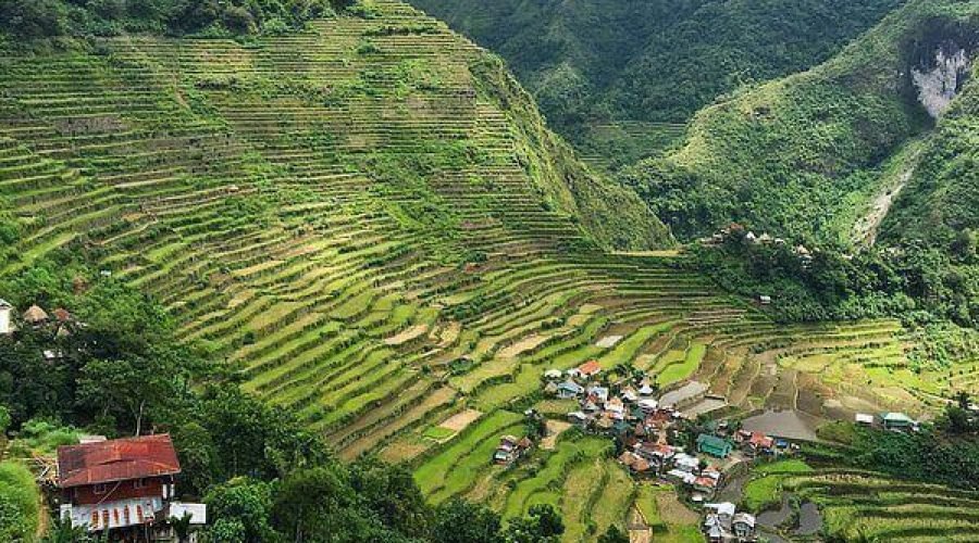 Batad rice terraces